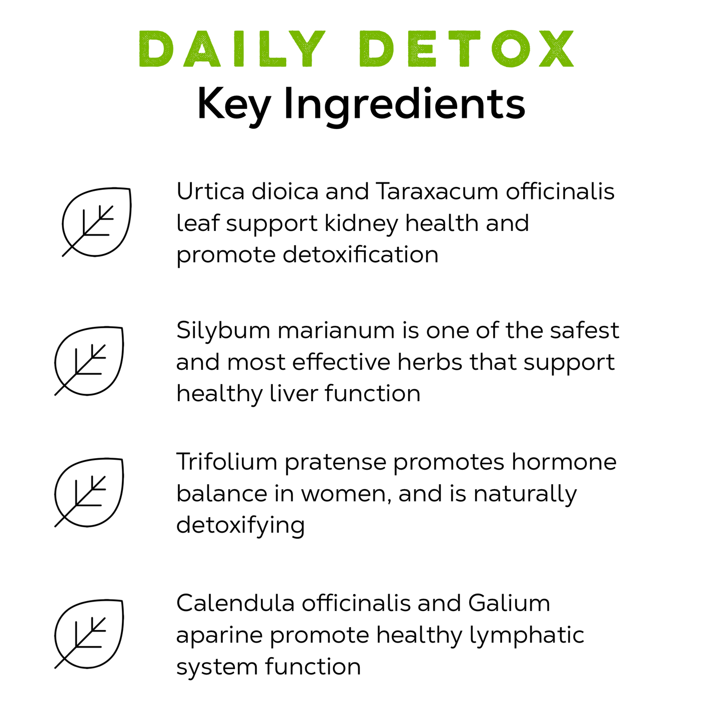 Loose Leaf Tea Market - Daily Detox Tea