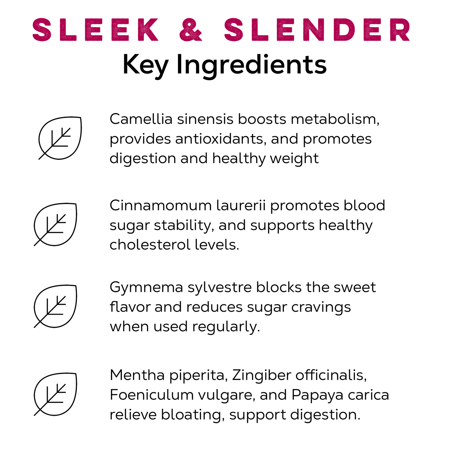Loose Leaf Tea Market - Sleek & Slender Tea