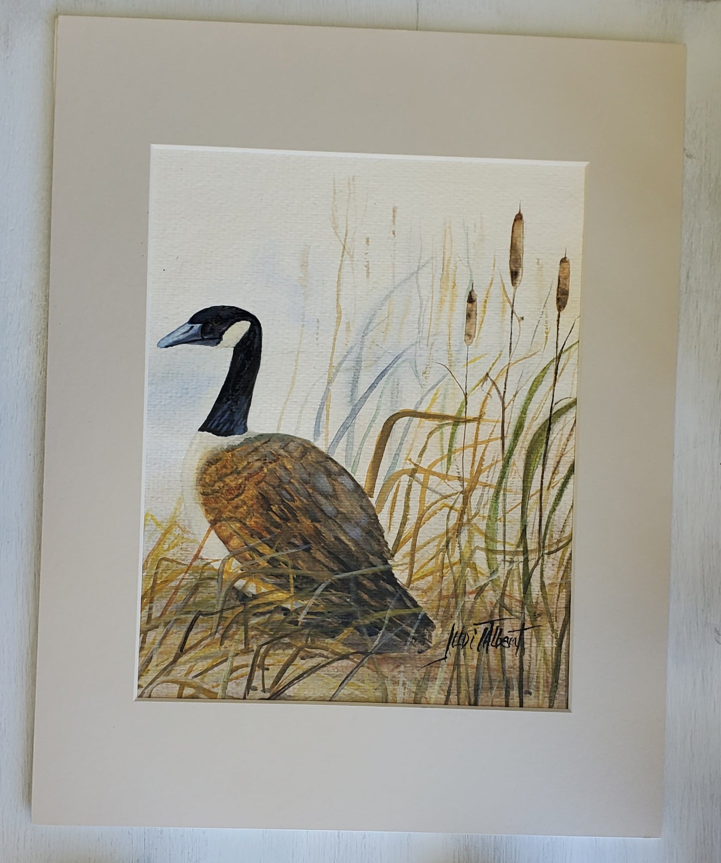 Canadian Goose by Judi Talbert