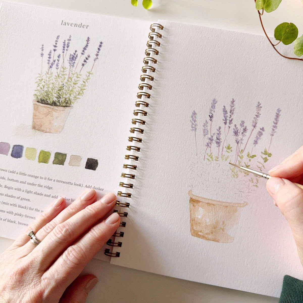 emily lex studio - Garden watercolor workbook - Lavenders Blue Home and Body Boutique 