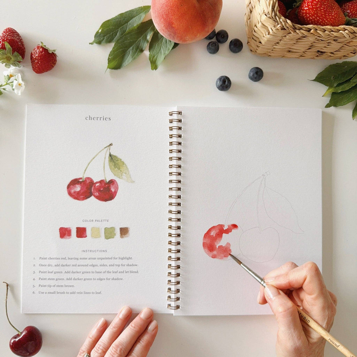 emily lex studio - Fruit watercolor workbook - Lavenders Blue Home and Body Boutique 