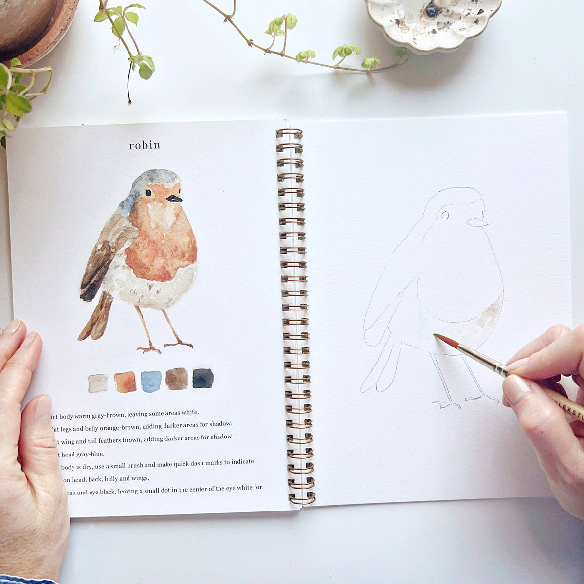 emily lex studio - Birds watercolor workbook - Lavenders Blue Home and Body Boutique 