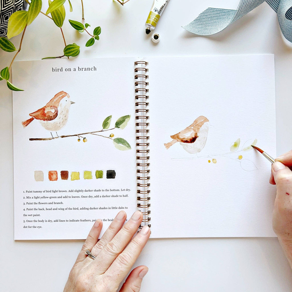 emily lex studio - Animals watercolor workbook - Lavenders Blue Home and Body Boutique 