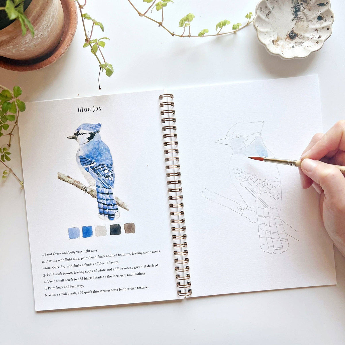 emily lex studio - Birds watercolor workbook - Lavenders Blue Home and Body Boutique 