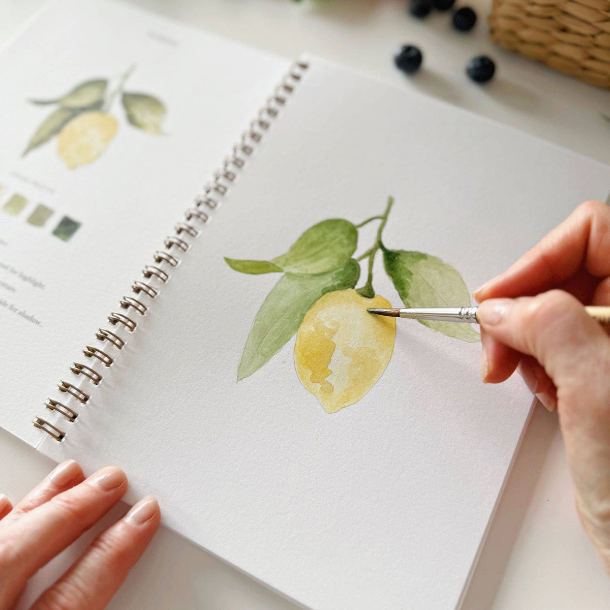 emily lex studio - Fruit watercolor workbook - Lavenders Blue Home and Body Boutique 