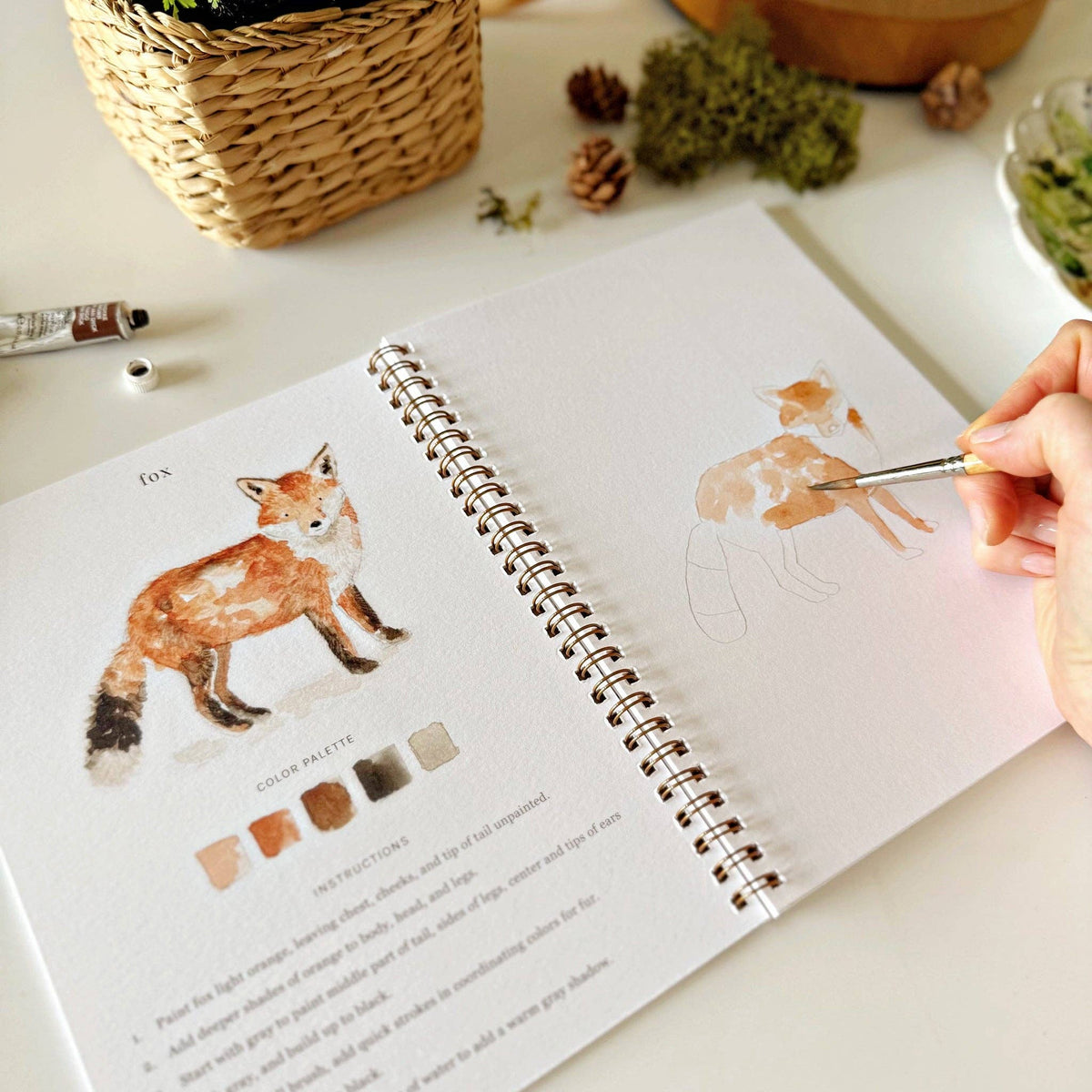 emily lex studio - Woodland watercolor workbook - Lavenders Blue Home and Body Boutique 