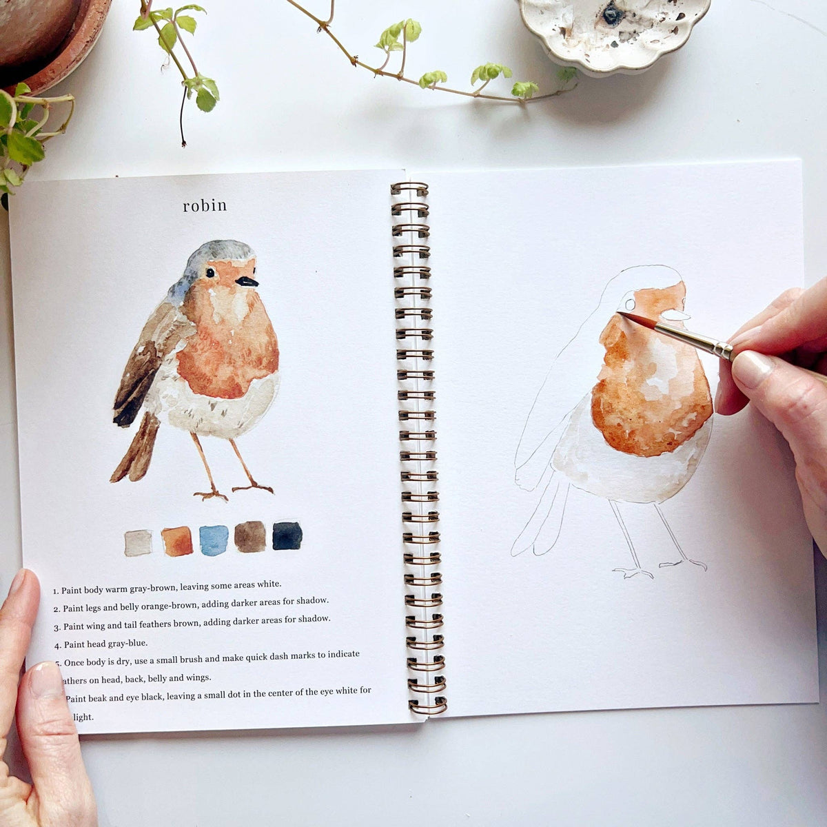 emily lex studio - Birds watercolor workbook - Lavenders Blue Home and Body Boutique 