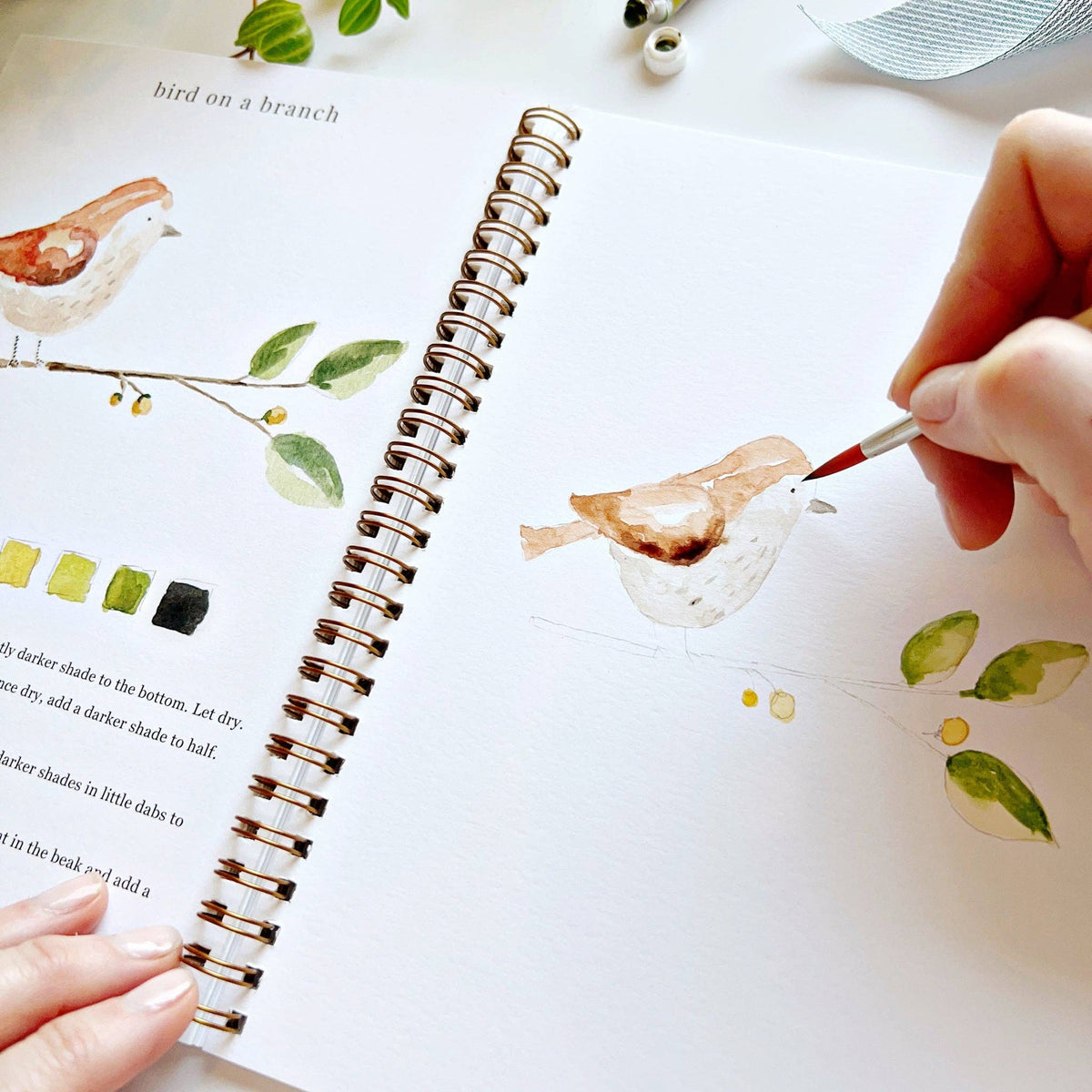 emily lex studio - Animals watercolor workbook - Lavenders Blue Home and Body Boutique 