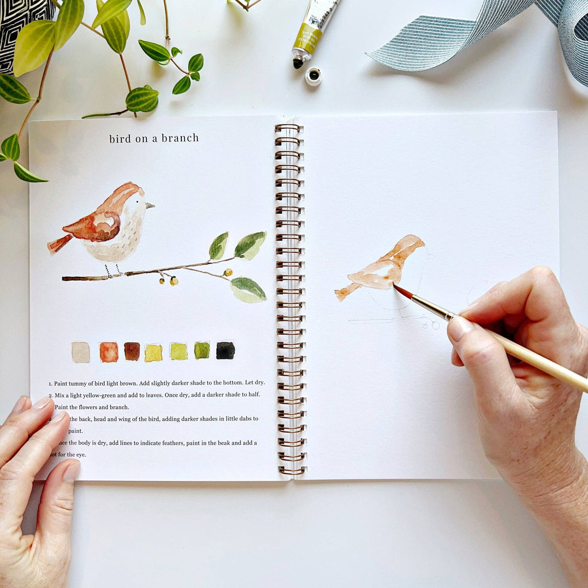 emily lex studio - Animals watercolor workbook - Lavenders Blue Home and Body Boutique 