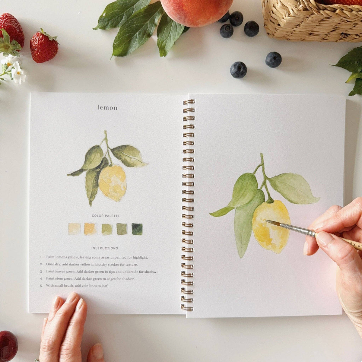 emily lex studio - Fruit watercolor workbook - Lavenders Blue Home and Body Boutique 