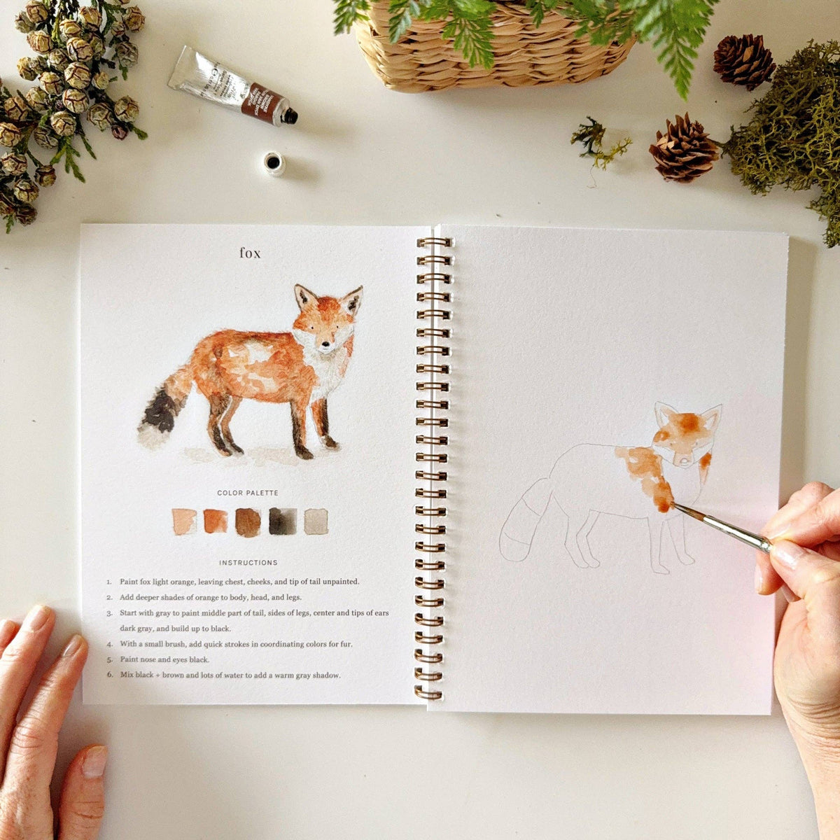 emily lex studio - Woodland watercolor workbook - Lavenders Blue Home and Body Boutique 