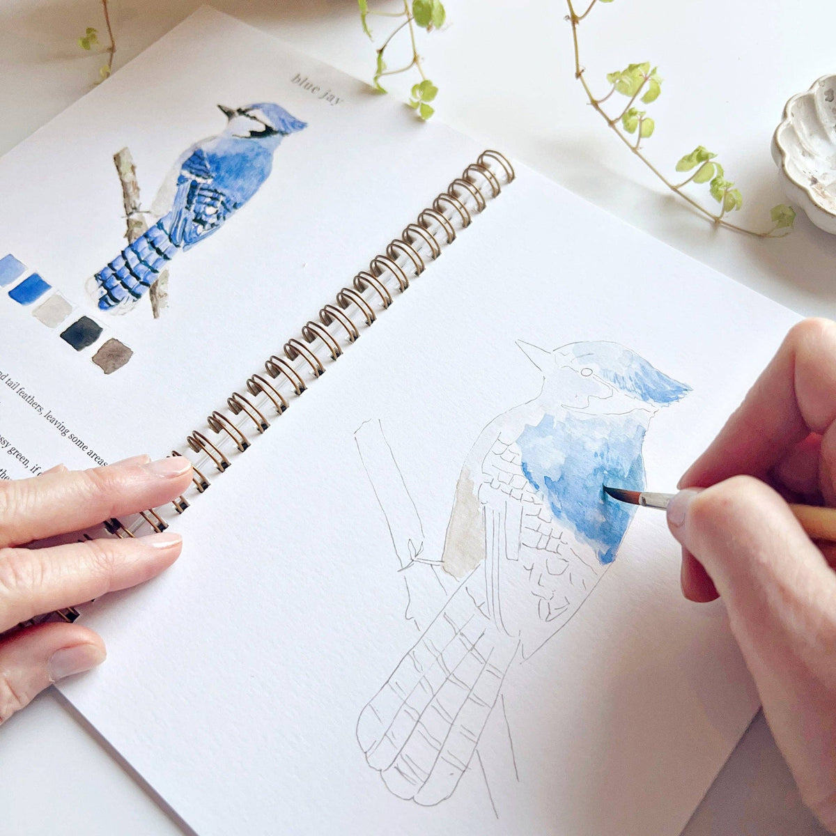 emily lex studio - Birds watercolor workbook - Lavenders Blue Home and Body Boutique 