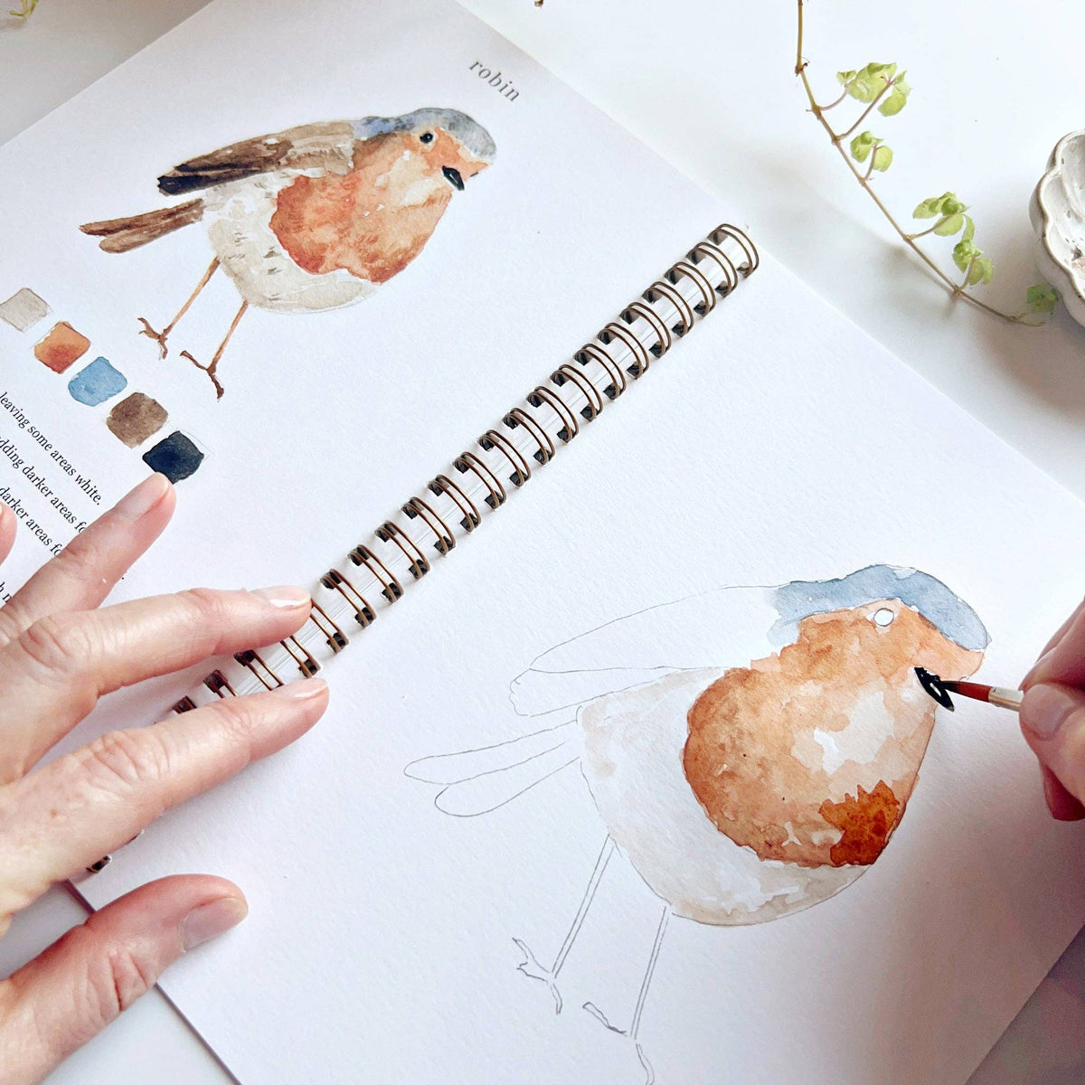 emily lex studio - Birds watercolor workbook - Lavenders Blue Home and Body Boutique 