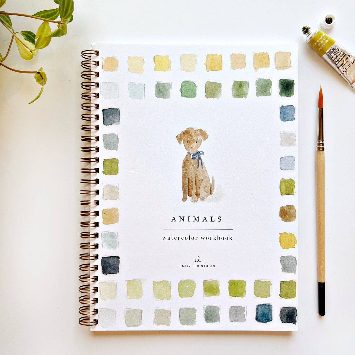 emily lex studio - Animals watercolor workbook - Lavenders Blue Home and Body Boutique 