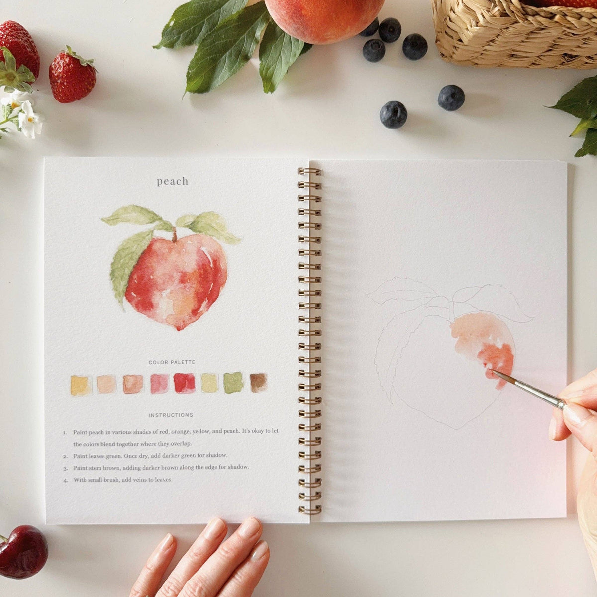 emily lex studio - Fruit watercolor workbook - Lavenders Blue Home and Body Boutique 