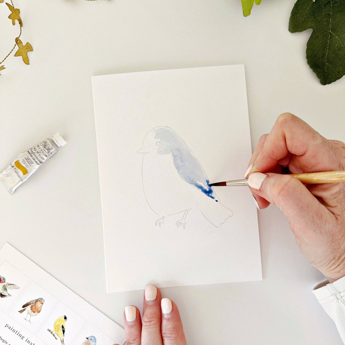 emily lex studio - Backyard birds paintable notecards - Lavenders Blue Home and Body Boutique 