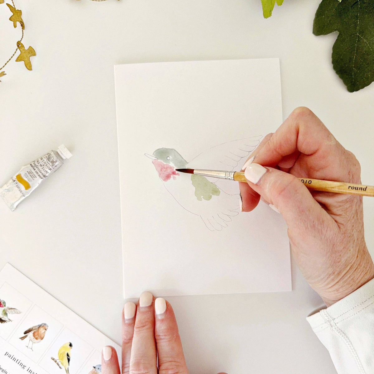 emily lex studio - Backyard birds paintable notecards - Lavenders Blue Home and Body Boutique 