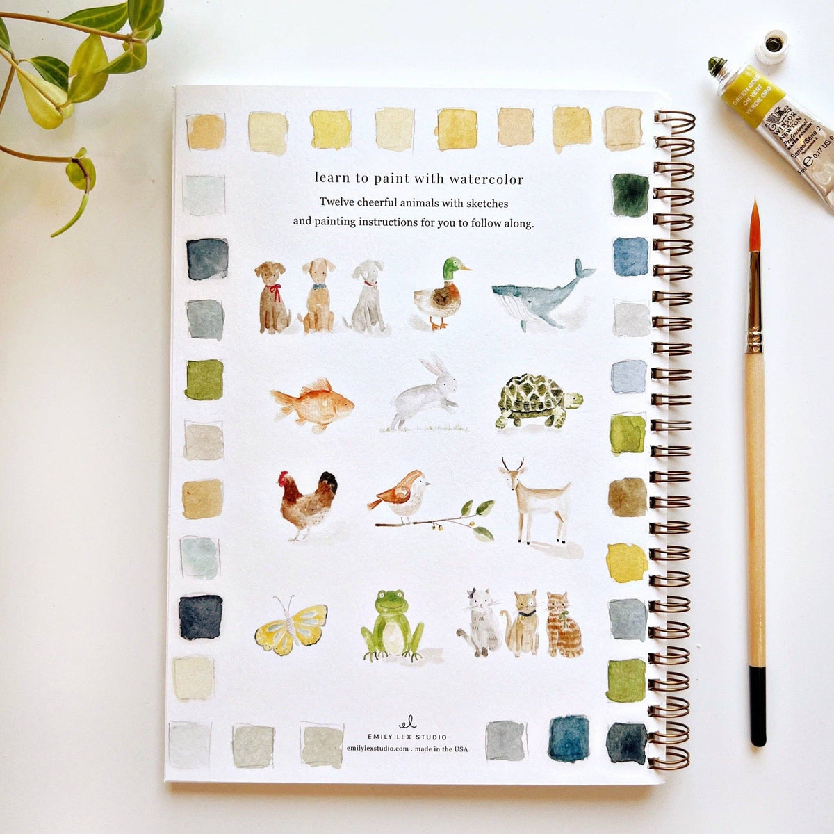 emily lex studio - Animals watercolor workbook - Lavenders Blue Home and Body Boutique 
