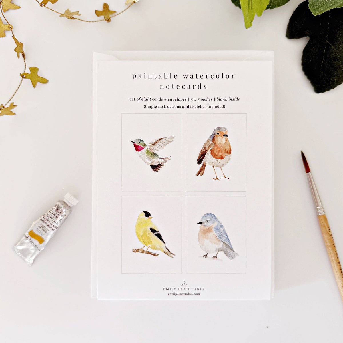 emily lex studio - Backyard birds paintable notecards - Lavenders Blue Home and Body Boutique 