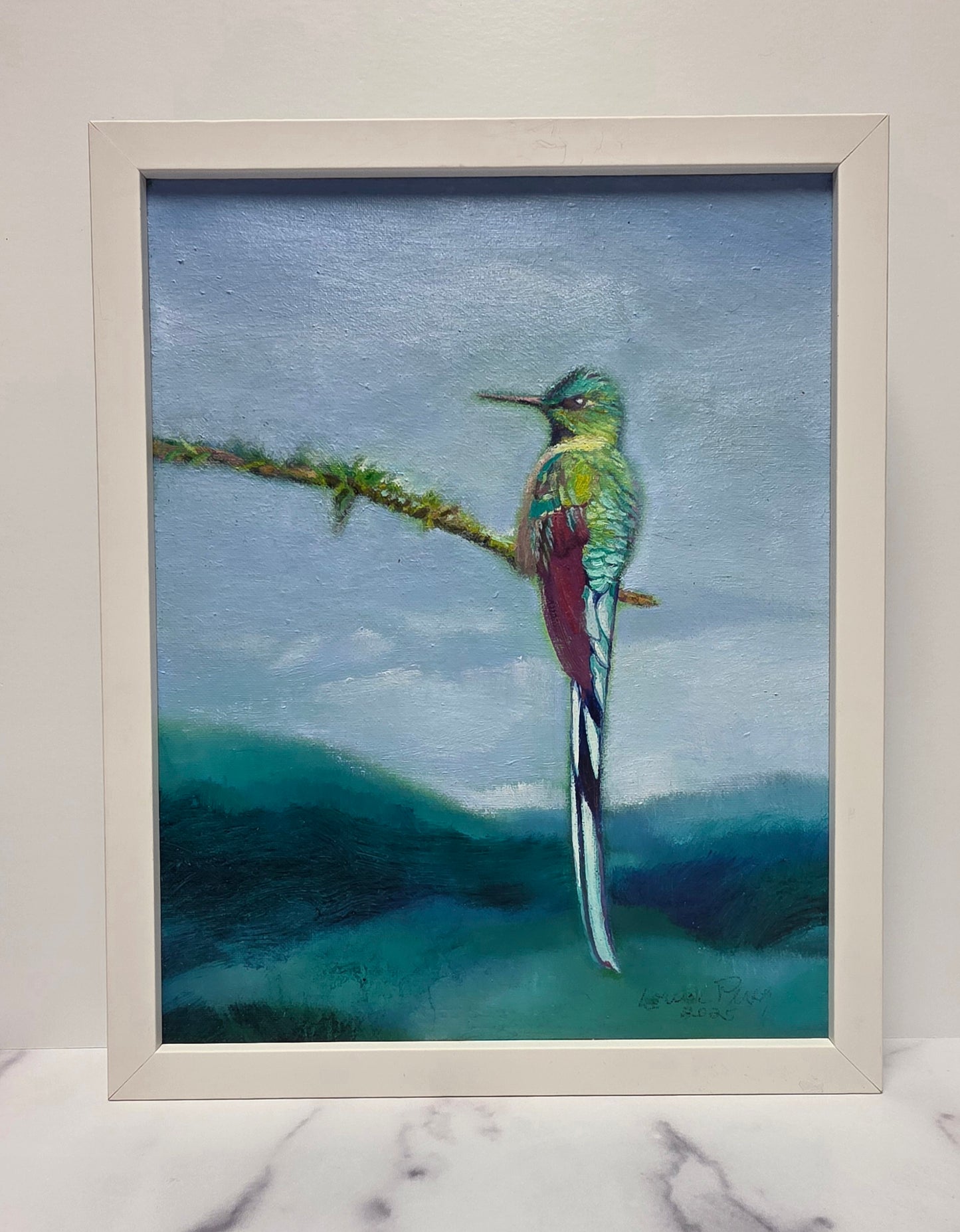 Fancy Hummingbird