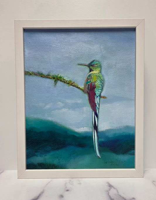 Fancy Hummingbird